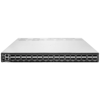 Коммутатор HPE Slingshot R4K41B