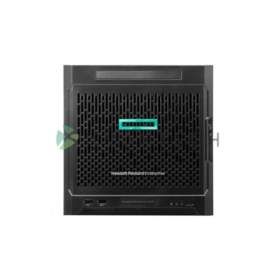 HPE ProLiant MicroServer Gen10 873830-421